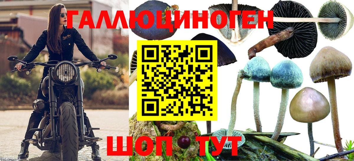 Псилоцибиновые грибы Magic Shrooms Донецк